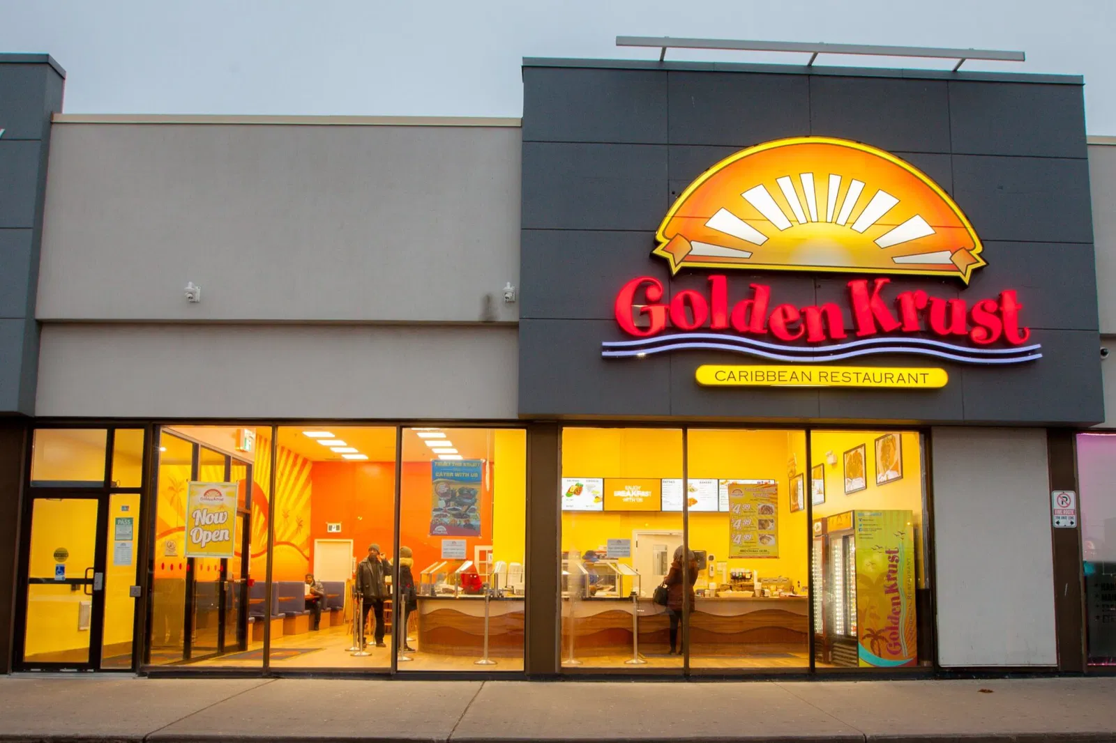 Golden Krust Franchise System Overview: History, Growth, and How the Model Scaled Through Franchising